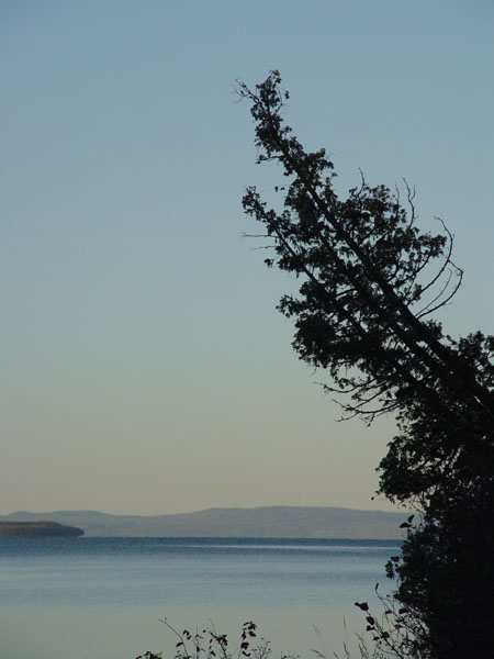 DSC06754
